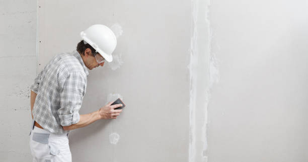 Best Drywall Repair  in USA